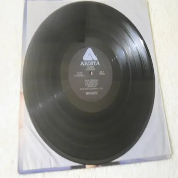 The Kinks - Misfits Vinyl LP Record For Sale