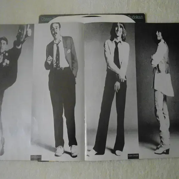 Cheap Trick - At Budokan Vinyl LP Record For Sale