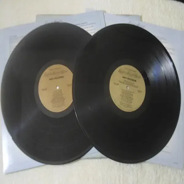 Lynyrd Skynyrd - Gold And Platinum Rare 2xLP Vinyl Record For Sale