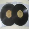 Lynyrd Skynyrd - Gold And Platinum Rare 2xLP Vinyl Record For Sale