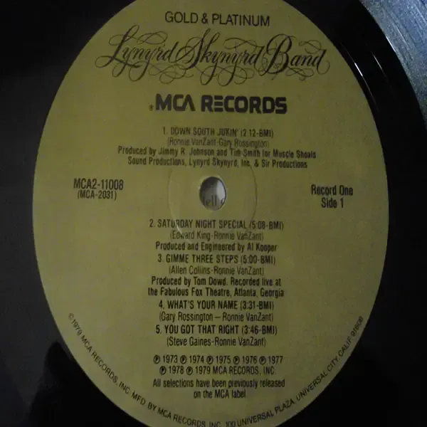Lynyrd Skynyrd - Gold And Platinum Rare 2xLP Vinyl Record For Sale