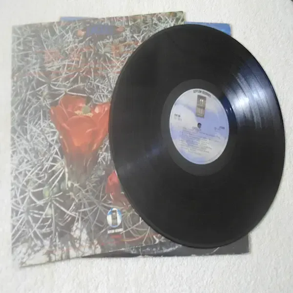 Eagles - Self Tilted LP Vinyl Record For Sale