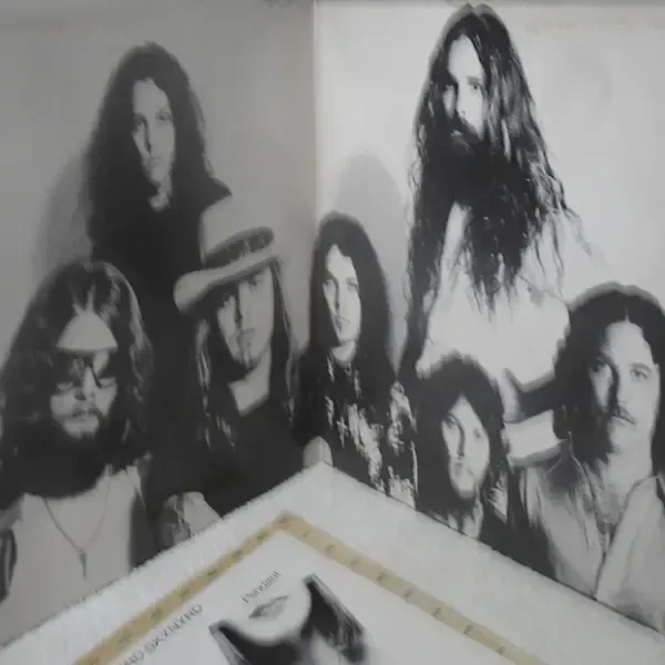 Lynyrd Skynyrd - Street Survivors Vinyl LP Record For Sale