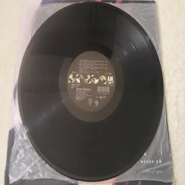 Janet Jackson - Love Will Never Do 12" Single Vinyl Record For Sale