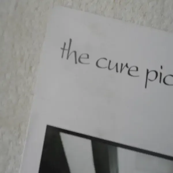 The Cure - Pictures Of You 12" Single Vinyl Record For Sale