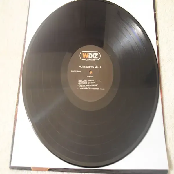 WDIZ - Home Grown Vol. 2 LP Vinyl Record For Sale