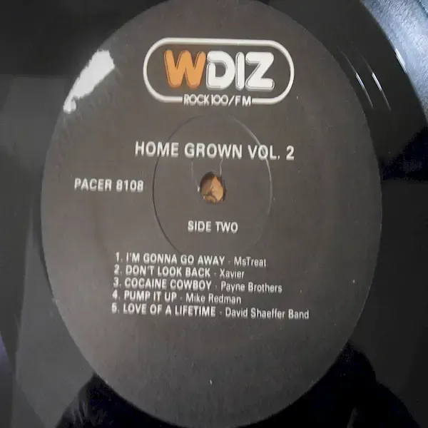 WDIZ - Home Grown Vol. 2 LP Vinyl Record For Sale