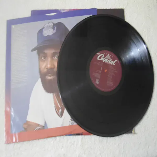 Maze - Joy And Pain LP Vinyl Record For Sale