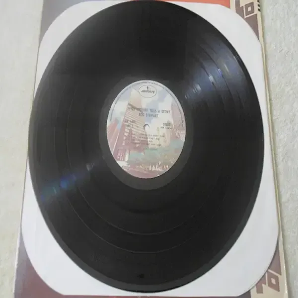 Rod Stewart - Every Picture Tells A Story LP Vinyl Record For Sale