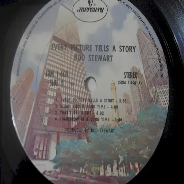 Rod Stewart - Every Picture Tells A Story LP Vinyl Record For Sale