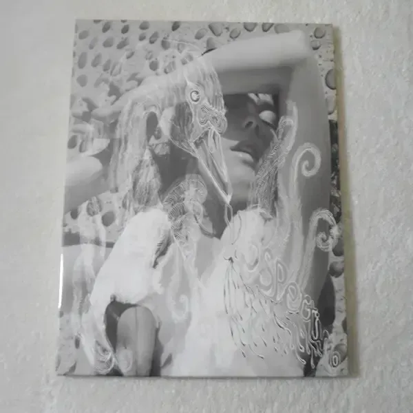 Bjork - Vespertine IMPORT 2xLP Vinyl Record For Sale - Japan