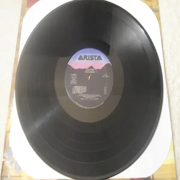 Expose - Exposure LP Vinyl Record For Sale
