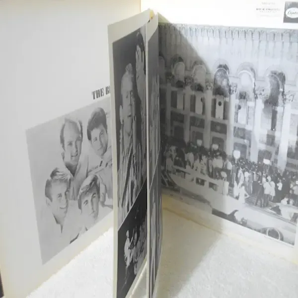 Beach Boys - Concert Vinyl LP Record For Sale
