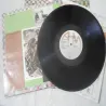 Ozark Mountain Daredevils - Self Titled Vinyl LP Record For Sale
