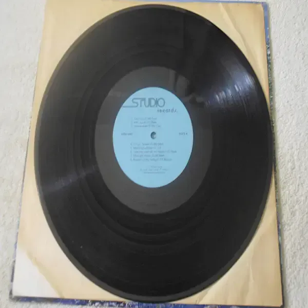 Mark & Bonnie Branciaroli - Wandering The Woods LP Vinyl Record For Sale