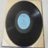 Mark & Bonnie Branciaroli - Wandering The Woods LP Vinyl Record For Sale