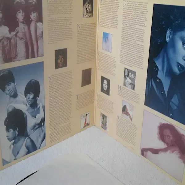 Diana Ross - All The Great Hits 2xLP Vinyl Record For Sale