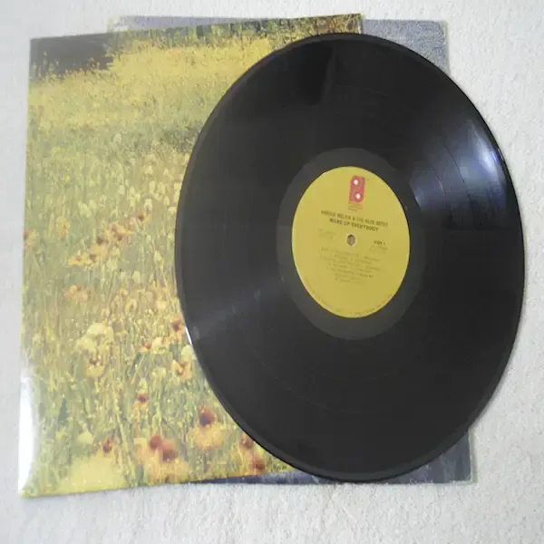 Harold Melvin & The Blue Notes - Wake Up Everybody LP Vinyl Record For Sale