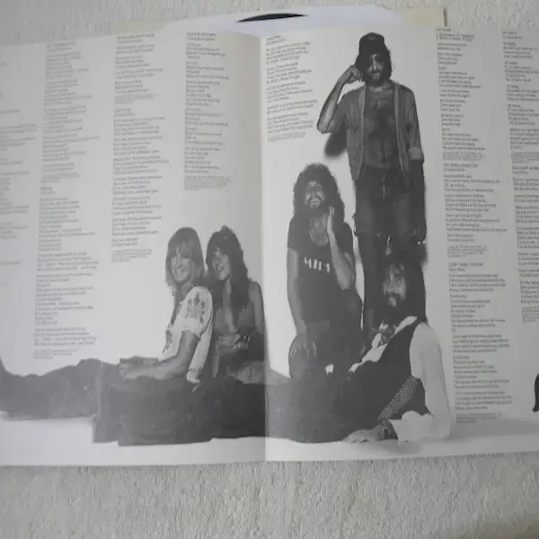 Fleetwood Mac - Rumors Vinyl LP Record For Sale