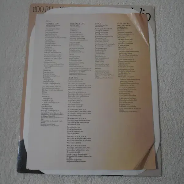 Julio Iglesias - 1100 Bel Air Place LP Vinyl Record For Sale