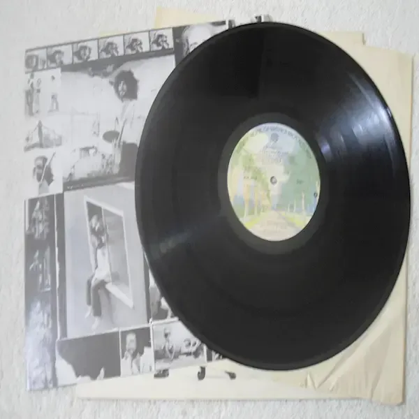 Fleetwood Mac - Rumors Vinyl LP Record For Sale