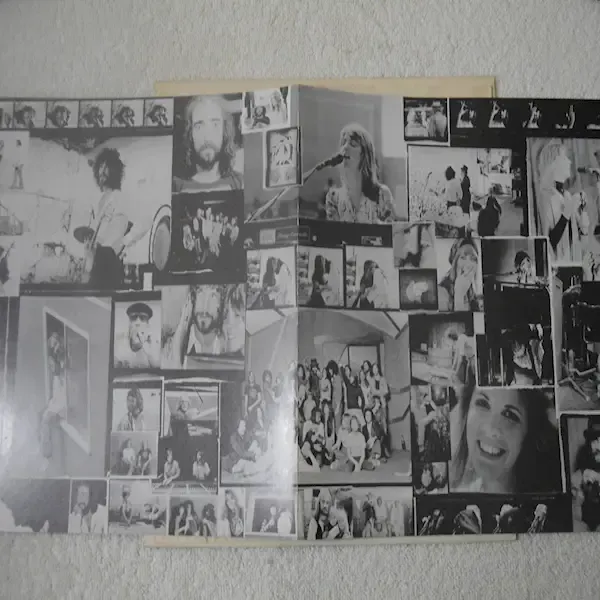 Fleetwood Mac - Rumors Vinyl LP Record For Sale