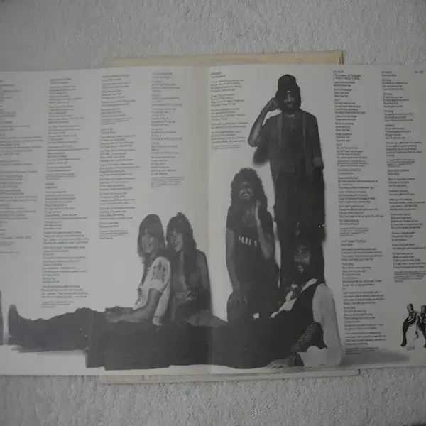 Fleetwood Mac - Rumors Vinyl LP Record For Sale