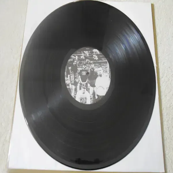 Avail - Over The James LP Vinyl Record For Sale