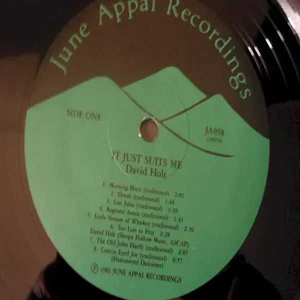 David Holt - It Just Suits Me LP Vinyl Record For Sale