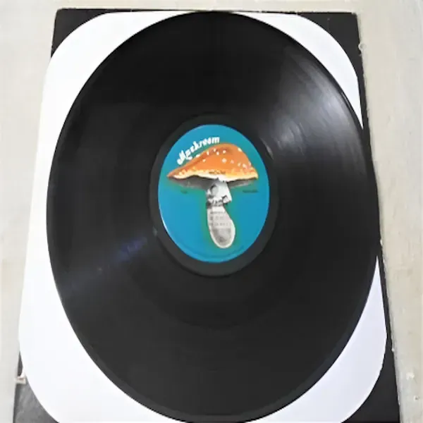 Heart - Magazine Vinyl LP Record For Sale