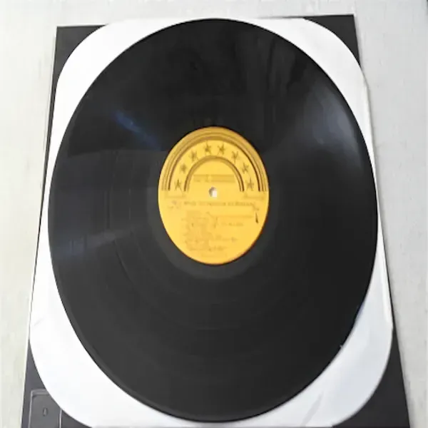 George Thorogood - More George Thorogood And The Destroyers LP Vinyl Record For Sale
