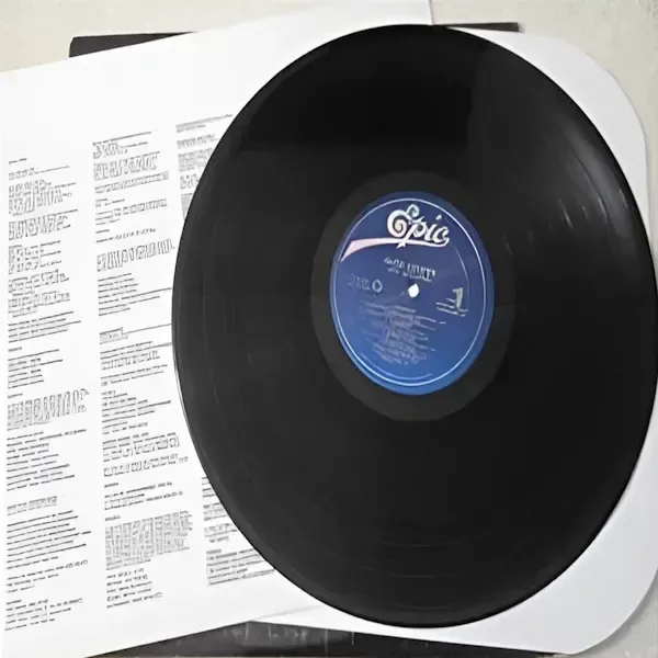 Alice Cooper - Hey Stoopid LP Vinyl Record For Sale