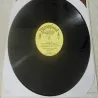 Walt Disney - Winnie The Pooh And The Honey Tree LP Vinyl Record For Sale