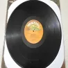 Rare Earth - Ecology Vinyl LP Record For Sale