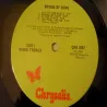 Robin Trower - Bridge Of Sighs Vinyl LP Record For Sale