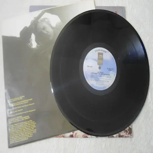 Joe Walsh - There Goes The Neighborhood LP Vinyl Record For Sale