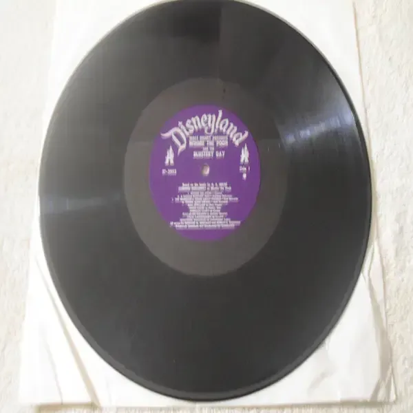 Winnie The Poo And The Blustery Day - Walt Disney LP 11 Page Gatefold For Sale