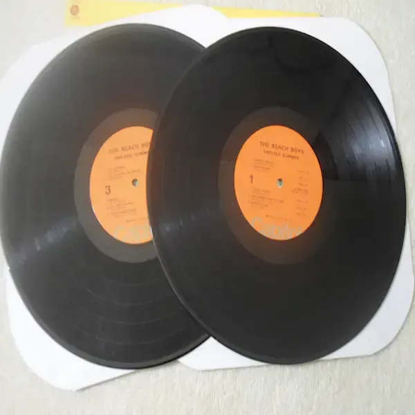 The Beach Boys - Endless Summer 2x LP Vinyl Record For Sale