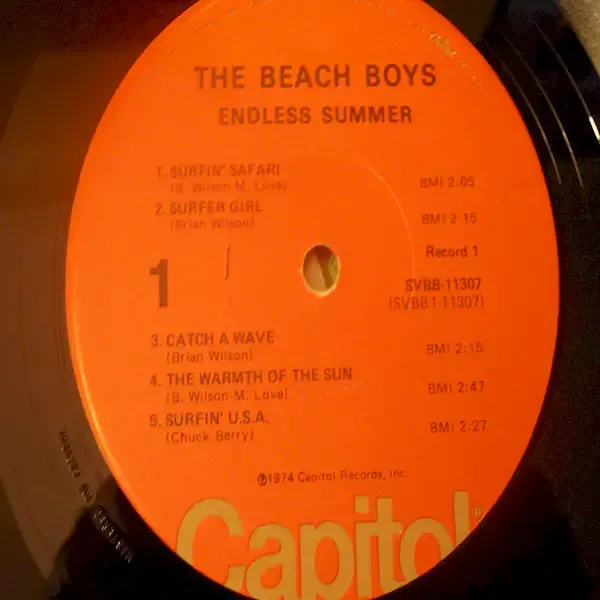 The Beach Boys - Endless Summer 2x LP Vinyl Record For Sale