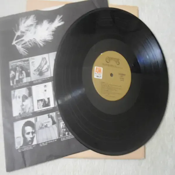 Carpenters - Self Titled LP Vinyl Record For Sale