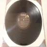 John Denver - Rocky Mountain High Lp Vinyl Record For Sale