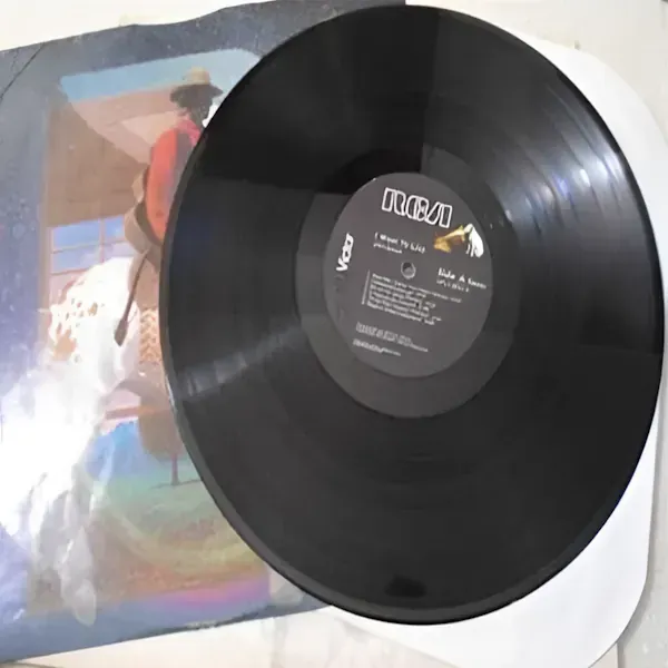 John Denver - I Want To Live Vinyl LP Record For Sale