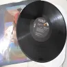 John Denver - I Want To Live Vinyl LP Record For Sale