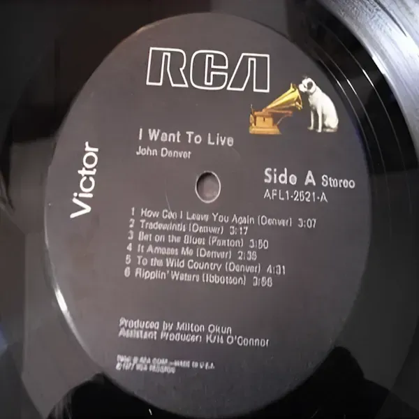 John Denver - I Want To Live Vinyl LP Record For Sale