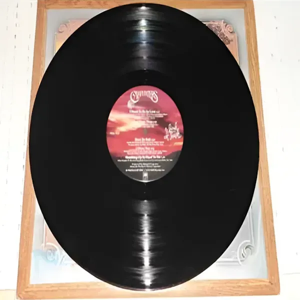 Carpenters - A Kind Of Hush Vinyl LP Record For Sale