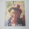 John Denver - Greatest Hits Vinyl LP Record For Sale