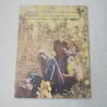 John Denver - Greatest Hits Vinyl LP Record For Sale