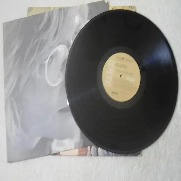 John Denver - Greatest Hits Vinyl LP Record For Sale
