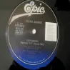 Teena Marie - Lovergirl 12" Single Vinyl Record For Sale