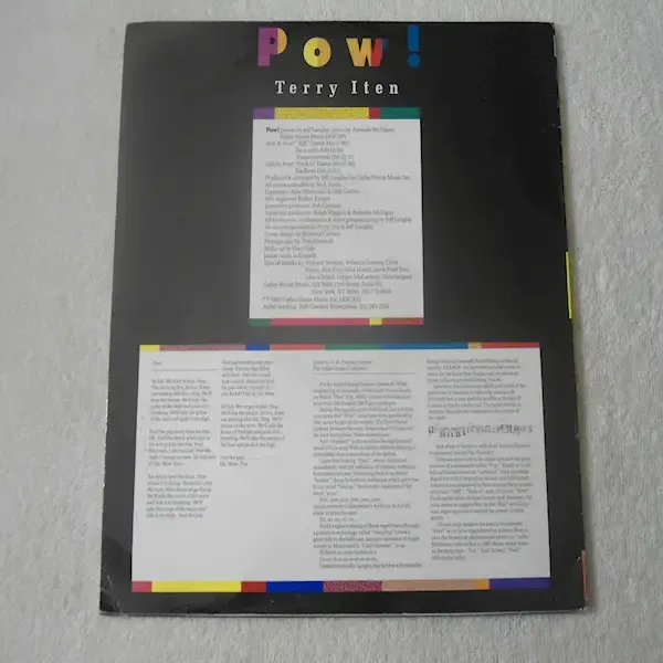Terry Iten - POW! 12" Single Vinyl Record For Sale
